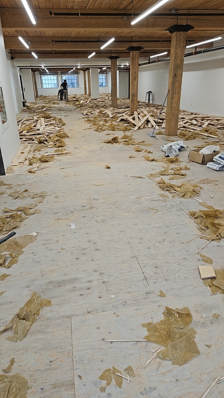 WAHOO second-floor construction progress at 577 Yonge Street - view 8